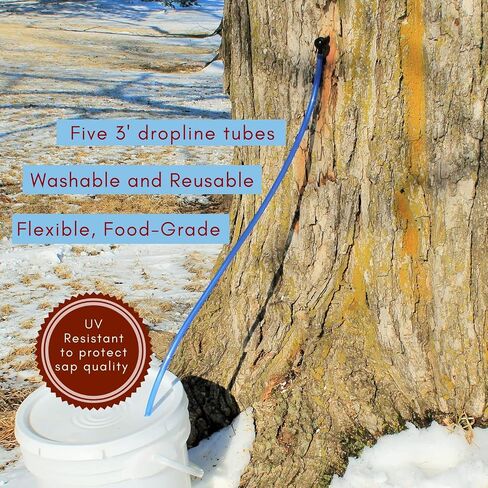 Kids Maple Tree Tapping Kit - Taps & Tubes Kit - Fun and Educational Maple Sugaring Kit in Saudi Arabia