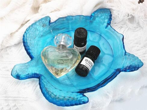 قالب راتنج على شكل سلحفاة بحر كبير من تيال، قالب من الراتنج الإيبوكسي على شكل سلحفاة من السيليكون، قالب من الراتنج لتزيين المنزل ولوازم الحفلات وغيرها in Kuwait