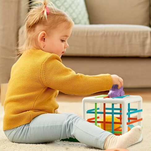 ألعاب أطفال من Tiyol Shape Sorter من 12 إلى 18 شهرًا، تعلم مونتيسوري، ألعاب تنموية، صندوق مكعبات و6 مكعبات ذات أشكال حسية، مهارات حركية دقيقة، هدايا عيد ميلاد للأطفال الصغار والبنات بعمر 1 2 3 (6 قطع) in Kuwait