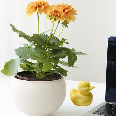 قالب سيليكون على شكل بطة ثلاثية الأبعاد من أونن إن إن إن ، قالب شموع لطيف على شكل بطة، قوالب صابون مصنوعة يدوياً، قالب شوكولاتة على شكل بطة، أدوات لصنع الحلي الحيوانية in Kuwait