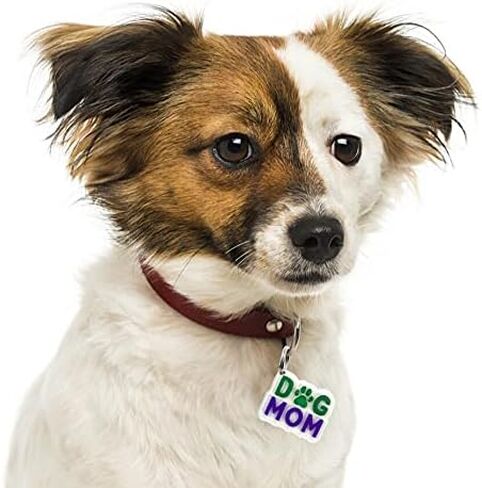 6 عبوات من قوالب الراتنج من السيليكون لصنع سلسلة المفاتيح والقطط والكلاب والقطط والحيوانات الاليفة مع 12 حلقة مفاتيح للقلادات والحرف اليدوية وصناعة المجوهرات in Kuwait