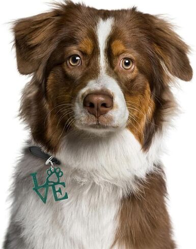 6 عبوات من قوالب الراتنج من السيليكون لصنع سلسلة المفاتيح والقطط والكلاب والقطط والحيوانات الاليفة مع 12 حلقة مفاتيح للقلادات والحرف اليدوية وصناعة المجوهرات in Kuwait