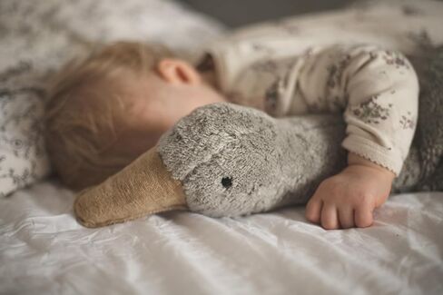 Senger Organic Cotton Goose Warming Pillow - Filled with Spelt - Grey - Large in Saudi Arabia