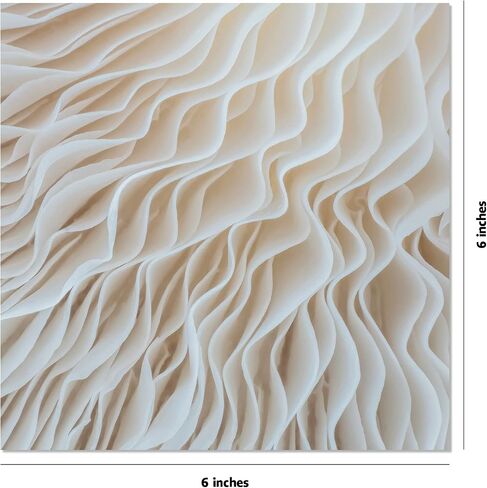 Origami Paper 500 sheets Nature Photo Patterns 6" (15 cm): Tuttle Origami Paper: High-Quality Double-Sided Origami Sheets Printed with 12 Different Designs (Instructions for 6 Projects Included) in Saudi Arabia