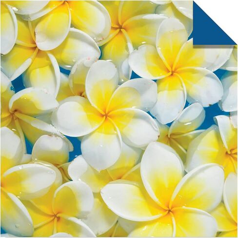 Origami Paper 500 sheets Nature Photo Patterns 6" (15 cm): Tuttle Origami Paper: High-Quality Double-Sided Origami Sheets Printed with 12 Different Designs (Instructions for 6 Projects Included) in Saudi Arabia
