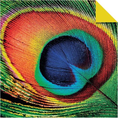 Origami Paper 500 sheets Nature Photo Patterns 6" (15 cm): Tuttle Origami Paper: High-Quality Double-Sided Origami Sheets Printed with 12 Different Designs (Instructions for 6 Projects Included) in Saudi Arabia