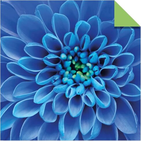 Origami Paper 500 sheets Nature Photo Patterns 6" (15 cm): Tuttle Origami Paper: High-Quality Double-Sided Origami Sheets Printed with 12 Different Designs (Instructions for 6 Projects Included) in Saudi Arabia