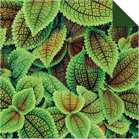 Origami Paper 500 sheets Nature Photo Patterns 6" (15 cm): Tuttle Origami Paper: High-Quality Double-Sided Origami Sheets Printed with 12 Different Designs (Instructions for 6 Projects Included) in Saudi Arabia