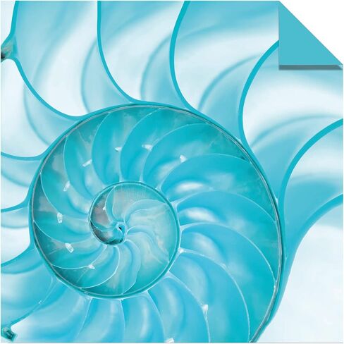 Origami Paper 500 sheets Nature Photo Patterns 6" (15 cm): Tuttle Origami Paper: High-Quality Double-Sided Origami Sheets Printed with 12 Different Designs (Instructions for 6 Projects Included) in Saudi Arabia