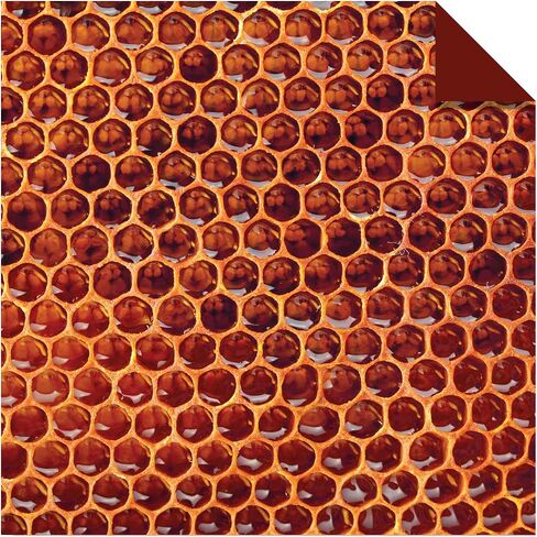 Origami Paper 500 sheets Nature Photo Patterns 6" (15 cm): Tuttle Origami Paper: High-Quality Double-Sided Origami Sheets Printed with 12 Different Designs (Instructions for 6 Projects Included) in Saudi Arabia