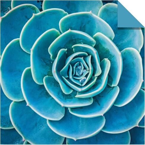 Origami Paper 500 sheets Nature Photo Patterns 6" (15 cm): Tuttle Origami Paper: High-Quality Double-Sided Origami Sheets Printed with 12 Different Designs (Instructions for 6 Projects Included) in Saudi Arabia