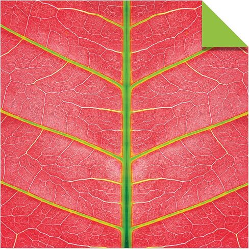 Origami Paper 500 sheets Nature Photo Patterns 6" (15 cm): Tuttle Origami Paper: High-Quality Double-Sided Origami Sheets Printed with 12 Different Designs (Instructions for 6 Projects Included) in Saudi Arabia