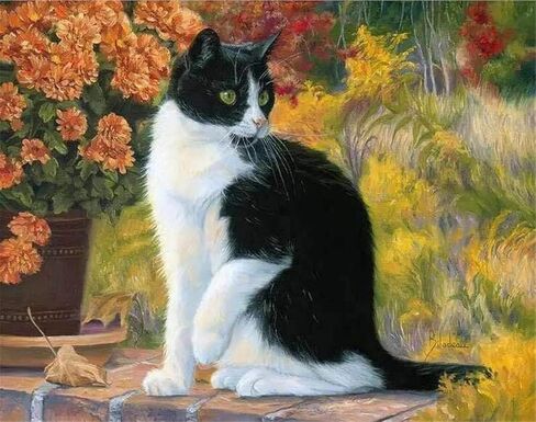 Sonby White Black Cat Paint by Numbers Kits for Adult Kids DIY Painting by Number for Home Wall Decor,16"x20" Unmounted in Kuwait