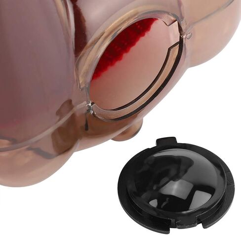 بنك نقود للأطفال، صندوق نقود على شكل دب كرتوني، صندوق نقود بلاستيكي شفاف لتزيين المنزل، تنمية الإدارة المالية للأطفال، تطوير عادة جيدة (بيج) in Kuwait