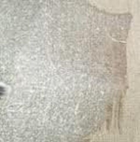 Poly Vinyl Acetate in Saudi Arabia
