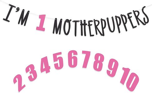 لافتة عيد ميلاد الأم - ديكورات حفلات تذكارية لعيد ميلاد الكلب، دعائم صور لعيد ميلاد الكلب، ديكور عيد ميلاد سعيد للكلاب، مجموعة مجانية من 0-9 أرقام، Lets Pawty (وردي فاتح داكن) in Kuwait