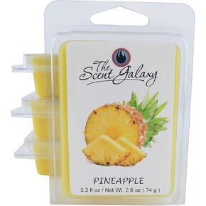 – Highly Scented Wax Melts -Hand Poured Wax Melts for Warmers, Two Pack (Salted Caramel)