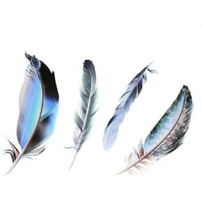INEBIZ Beautiful Transparent Feather Vinyl Car Body Bumper Stickers, Scratch-Repair Decoration Decals (4)