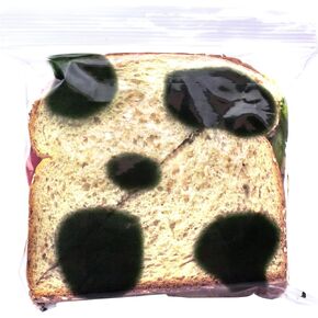 ويتي ييتي اكياس ساندويتشات مزيفة من 40 قطعة لحماية هوجي الخاص بك! كل حقيبة بسحاب مضادة للسرقة وآمنة للطعام تبدو متعفنة لدرء مغيري الثلاجة في العمل! مقالب غداء مرحة او هدية هفوة للرجال او الاطفال! in Kuwait