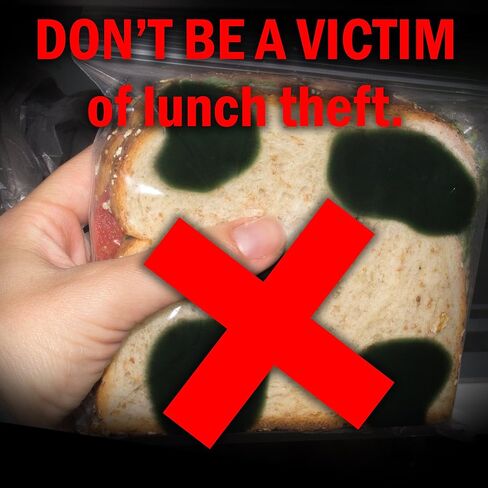 ويتي ييتي اكياس ساندويتشات مزيفة من 40 قطعة لحماية هوجي الخاص بك! كل حقيبة بسحاب مضادة للسرقة وآمنة للطعام تبدو متعفنة لدرء مغيري الثلاجة في العمل! مقالب غداء مرحة او هدية هفوة للرجال او الاطفال! in Kuwait