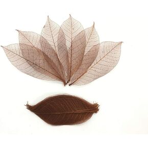 100 قطعة من اوراق الشجر الكبيرة والهيكل العظمي واوراق الشجر المطاطية الطبيعية لسجل القصاصات والحرف اليدوية وبطاقات الزفاف in Kuwait