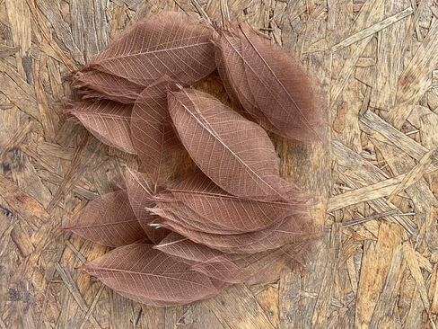 100 قطعة من اوراق الشجر الكبيرة والهيكل العظمي واوراق الشجر المطاطية الطبيعية لسجل القصاصات والحرف اليدوية وبطاقات الزفاف in Kuwait