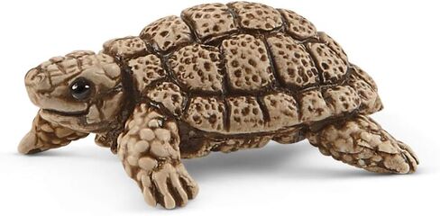 Schleich Wild Life 6-Piece Tortoise Toy Figure with Hatchlings and Turtle Home Playset for Kids Ages 3-8 (42506n) in Saudi Arabia
