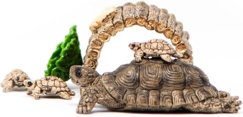 Schleich Wild Life 6-Piece Tortoise Toy Figure with Hatchlings and Turtle Home Playset for Kids Ages 3-8 (42506n) in Saudi Arabia