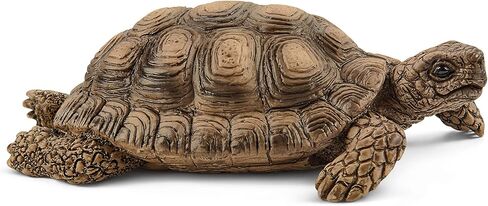 Schleich Wild Life 6-Piece Tortoise Toy Figure with Hatchlings and Turtle Home Playset for Kids Ages 3-8 (42506n) in Saudi Arabia