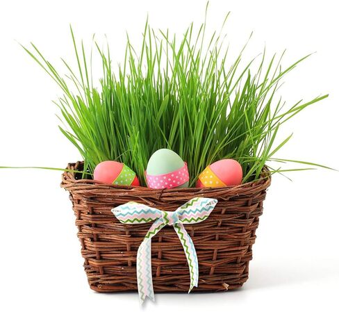 Llxieym Easter Ribbon Egg Bunny Flower Satin Ribbon Fabric Wrapping Gift Ribbon for Easter Decoration DIY Craft, 10 Rolls (Color 1) in Kuwait