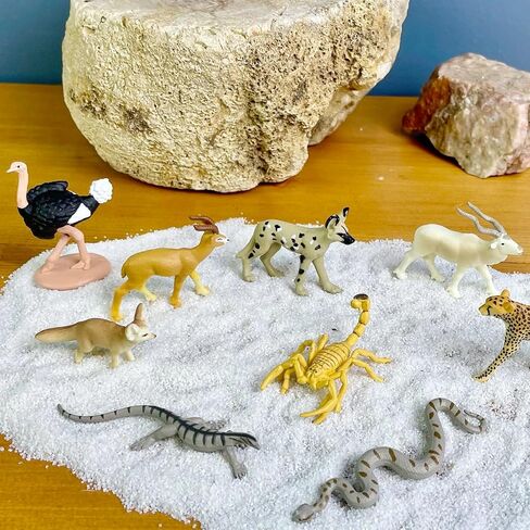 Safari Ltd. Sahara Desert Animals TOOB - Detailed Figurines of Fennec Fox, Ostrich, Dorcas Gazelle, and More - Fun Educational Play Toy for Boys, Girls & Kids Ages 3+ in Saudi Arabia