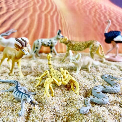 Safari Ltd. Sahara Desert Animals TOOB - Detailed Figurines of Fennec Fox, Ostrich, Dorcas Gazelle, and More - Fun Educational Play Toy for Boys, Girls & Kids Ages 3+ in Saudi Arabia