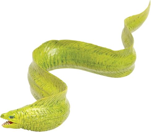 Safari Ltd. Moray Eel Figurine - Detailed 9" Plastic Model Figure - Fun Educational Play Toy for Boys, Girls & Kids Ages 18M+ in Saudi Arabia