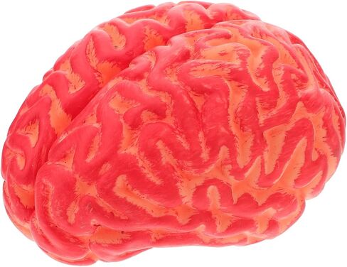 NUOBESTY هالوين محاكاة الفينيل الدماغ الدموي 1 قطعة، هالوين خدعة مخيف الدعامة مزحة أداة محاكاة الدعامة الاصطناعي الدم الدماغ حزب مهرجان أجزاء لمنزل مسكون in Kuwait