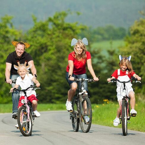 8 عصابات رأس حيوانات في الغابة سفاري حديقة حيوانات حيوانات حيوانات حيوانات حيوانات من القطيفة وأساور رأس كرتونية من القطيفة وإكسسوارات الشعر على شكل فيل وجرافات وحمار وحشي النمر والأسد على شكل نمر ثعلب ليوبارد in Kuwait