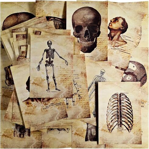 Vilikya Skeleton Decor Decoupage Paper for Junk Journal Supplies, 55pcs Dark Academia Room Decor for Wall Collage Kit, Grunge Aesthetic Decorative Paper for Scrapbooking Embellishments Mixed Media in Kuwait