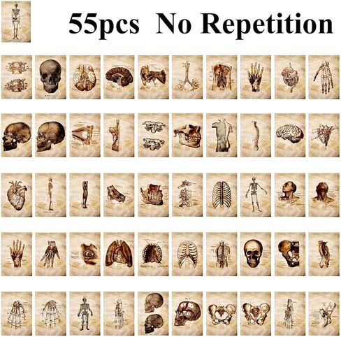 Vilikya Skeleton Decor Decoupage Paper for Junk Journal Supplies, 55pcs Dark Academia Room Decor for Wall Collage Kit, Grunge Aesthetic Decorative Paper for Scrapbooking Embellishments Mixed Media in Kuwait