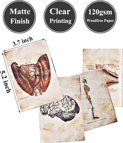 Vilikya Skeleton Decor Decoupage Paper for Junk Journal Supplies, 55pcs Dark Academia Room Decor for Wall Collage Kit, Grunge Aesthetic Decorative Paper for Scrapbooking Embellishments Mixed Media in Kuwait