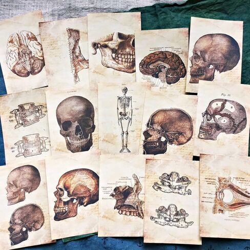 Vilikya Skeleton Decor Decoupage Paper for Junk Journal Supplies, 55pcs Dark Academia Room Decor for Wall Collage Kit, Grunge Aesthetic Decorative Paper for Scrapbooking Embellishments Mixed Media in Kuwait