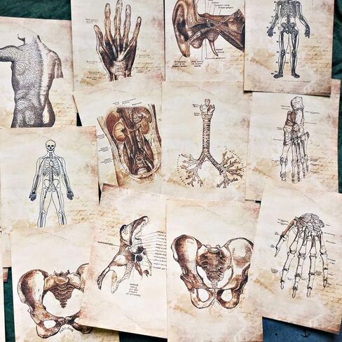 Vilikya Skeleton Decor Decoupage Paper for Junk Journal Supplies, 55pcs Dark Academia Room Decor for Wall Collage Kit, Grunge Aesthetic Decorative Paper for Scrapbooking Embellishments Mixed Media in Kuwait