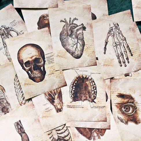 Vilikya Skeleton Decor Decoupage Paper for Junk Journal Supplies, 55pcs Dark Academia Room Decor for Wall Collage Kit, Grunge Aesthetic Decorative Paper for Scrapbooking Embellishments Mixed Media in Kuwait