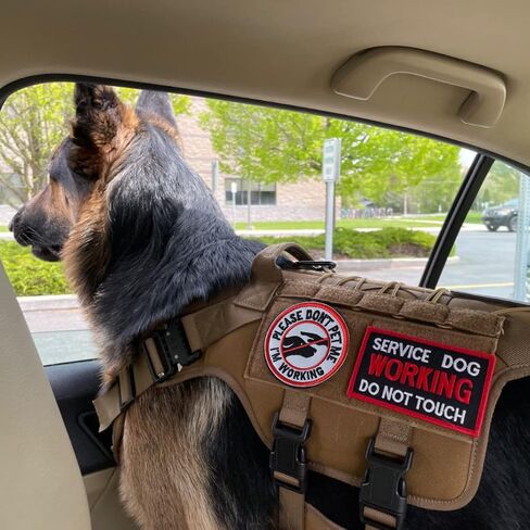 10 Pieces Service Dog K9 Please Don't Pet Me in Training No Touch Full Embroidered Badge Emblem Patch for Service Dogs Harness Vest Clothes in Kuwait