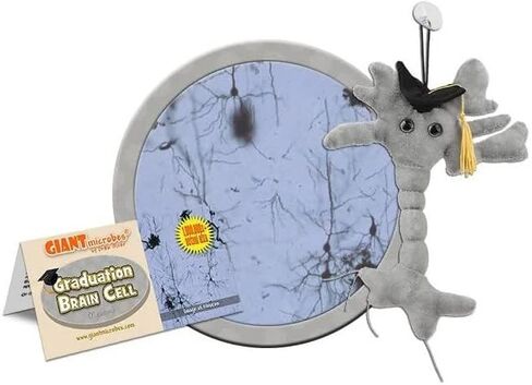 GIANTmicrobes Graduation Brain Cell Plush - Celebrate with Our Signature Brain Cell Plush donning a Graduation Cap and Tassel, Uniquely Fun Student Gift to Commemorate Achievements in Saudi Arabia