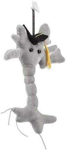 GIANTmicrobes Graduation Brain Cell Plush - Celebrate with Our Signature Brain Cell Plush donning a Graduation Cap and Tassel, Uniquely Fun Student Gift to Commemorate Achievements in Saudi Arabia