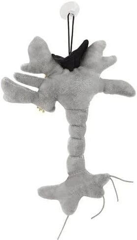 GIANTmicrobes Graduation Brain Cell Plush - Celebrate with Our Signature Brain Cell Plush donning a Graduation Cap and Tassel, Uniquely Fun Student Gift to Commemorate Achievements in Saudi Arabia