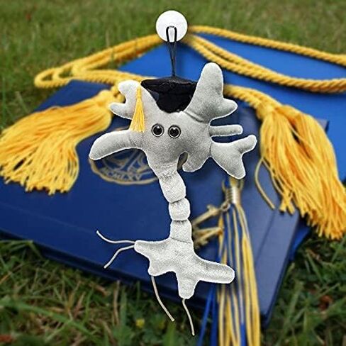 GIANTmicrobes Graduation Brain Cell Plush - Celebrate with Our Signature Brain Cell Plush donning a Graduation Cap and Tassel, Uniquely Fun Student Gift to Commemorate Achievements in Saudi Arabia