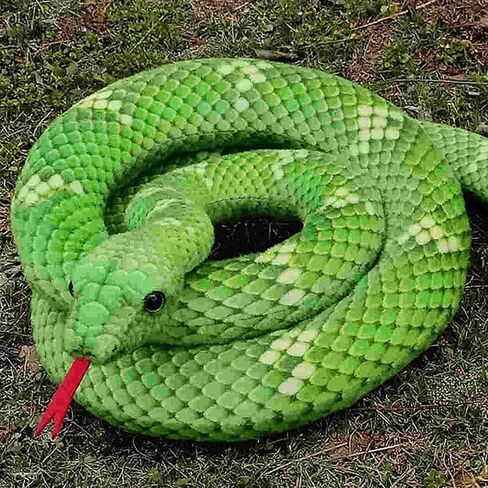 YUKOUQIAN Tardigrade لعبة محشوة على شكل حيوان Tardigrade قطيفة مقاس 10 بوصة هدية للفتيات والأولاد في عيد الميلاد (Tardigrade) in Kuwait