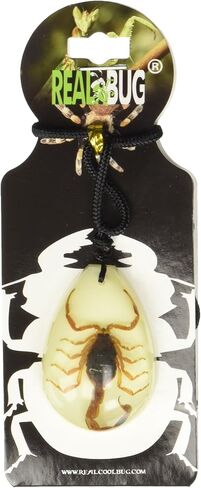 ريال بج قلادة ذهبية بتصميم برج العقرب، تتوهج في الظلام، مقاس L in Kuwait