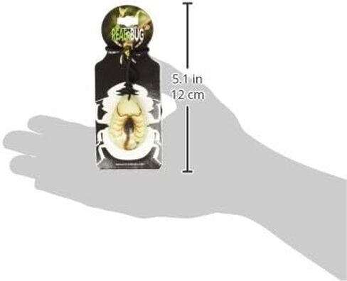 ريال بج قلادة ذهبية بتصميم برج العقرب، تتوهج في الظلام، مقاس L in Kuwait