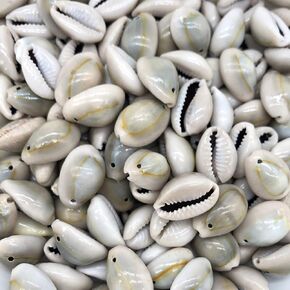 100 PCS 0.63"-0.71" Natural Spiral Cowrie Shell Cut African Cowrie Shells, Beach Seashells with Hole for DIY Craft Jewelry Making, Adorning Hair Locks and Braids (16-18mm, Grey)